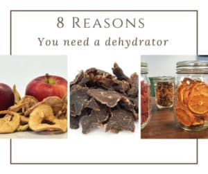 8 reasons you need a dehydrator