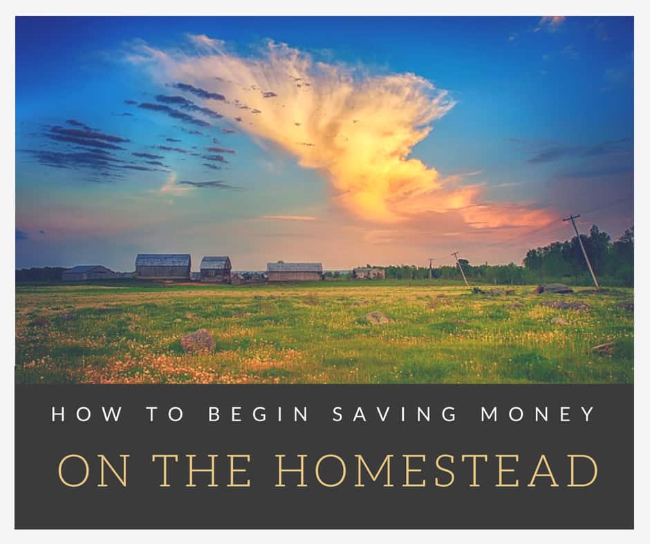 How to Save Money on the HomeStead – Your Homestead Journey